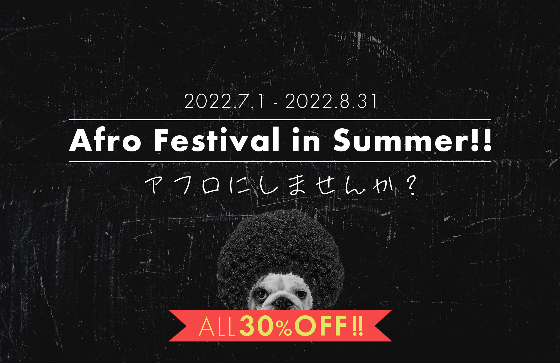 Aflo Festival in Summer! START!!